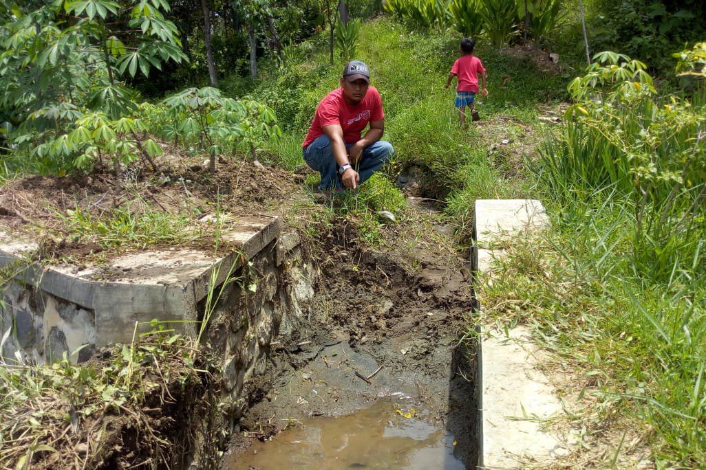 Puluhan Hektar Sawah Tercemar akibat Pencucian Pasir