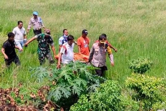 Pamit Ke Istri Cari Rumput, Petani Lansia di Lamongan Meninggal di Sawah