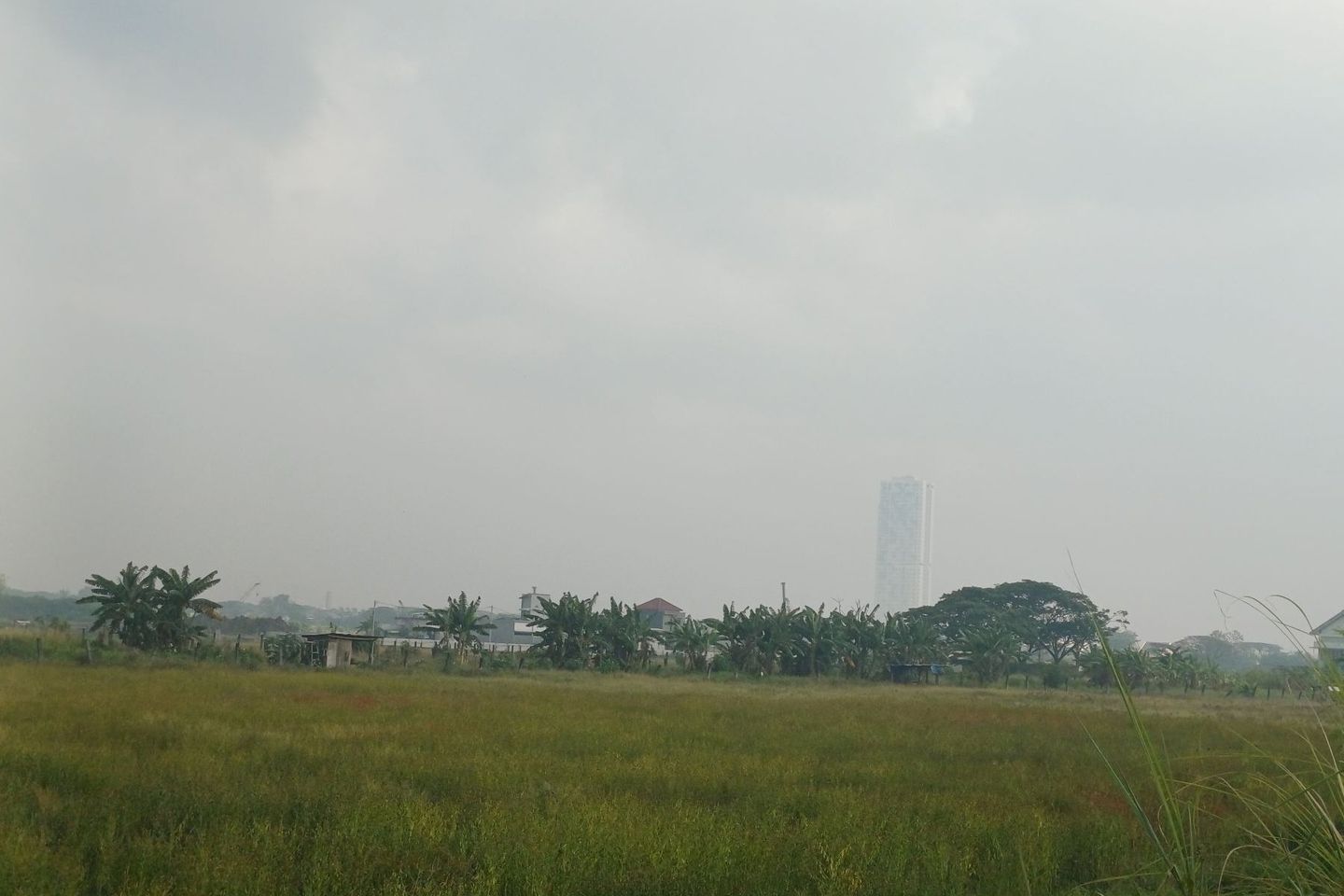 <span style="margin-left:0cm; margin-right:0cm">Kabut Pagi Selimuti Surabaya, BMKG: Peringatkan Angin Kencang hingga September</span>