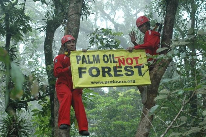 KLHK Lepas 5,4 Juta Hektare Hutan untuk Sawit