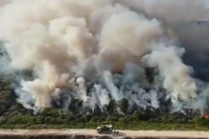 Ribuan Penumpang Terdampak, Biaya Karhutla Membesar