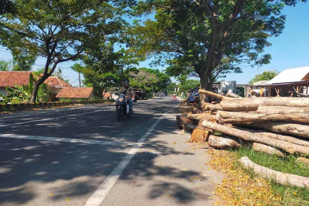 Tumpukan Kayu Jati di Bahu Jalan Nasional Sampang Bahayakan Pengendara