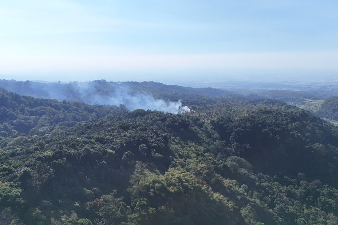 Kebakaran Hutan Kembali Terjadi di Gunung Biru Mojokerto