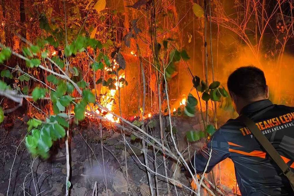 Pemadaman Api di Gunung Butak Ngawi Terkendala Pohon yang Rawan Tumbang