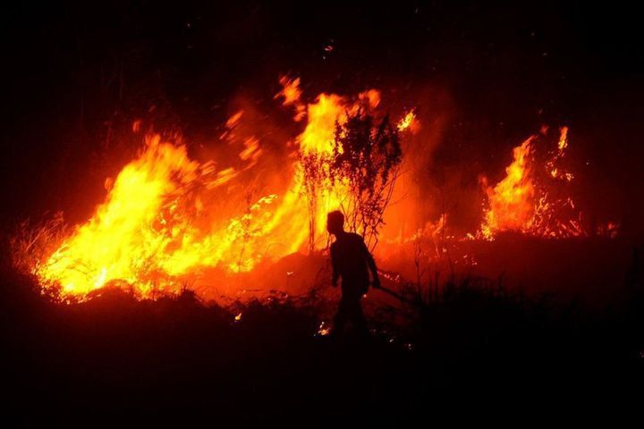 Kebakaran Lereng Lawu Meluas, Semua Jalur Pendakian Ditutup