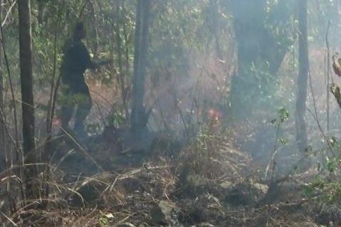 Delapan Hektare Bukit Bentar Ludes Dilalap Api