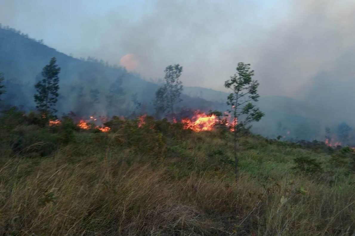 Relawan Kesulitan Padamkan Kebakaran Hutan dan Lahan Welirang