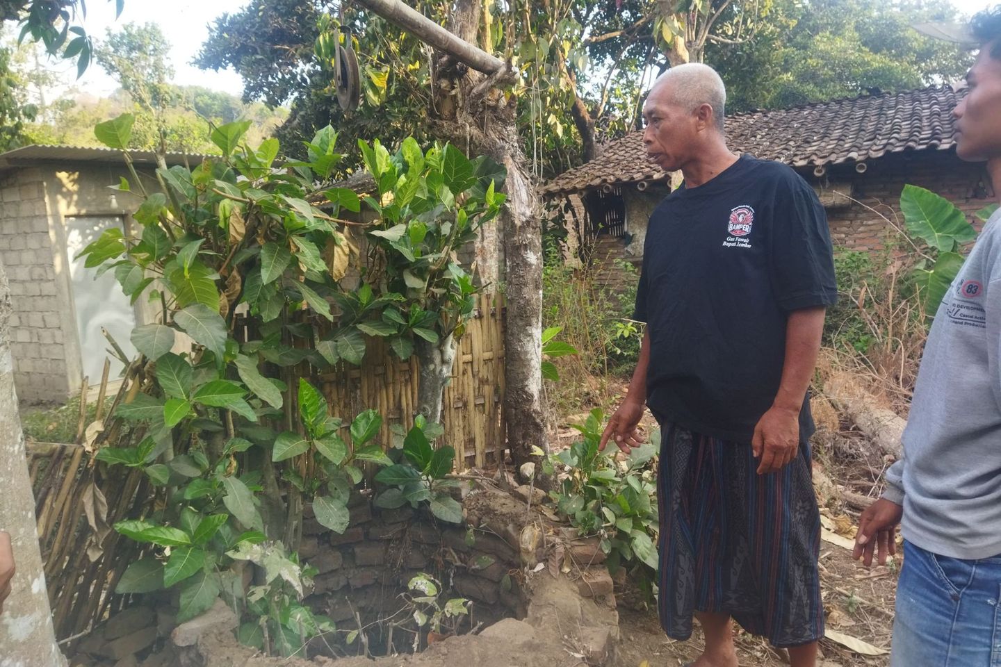 Kekeringan di Jember Tekan Hasil Panen Tembakau, Petani Berharap Bantuan Pompa Air