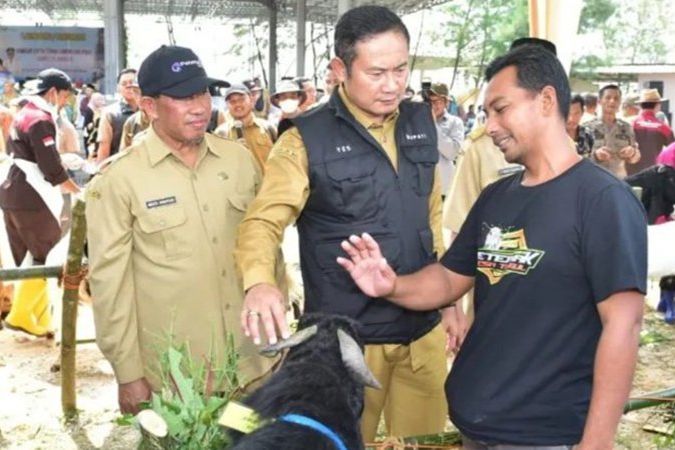 Tak Hanya Dikenal Sebagai Kota Soto, Kini Lamongan Juga Miliki Sentra Kambing Dan Domba