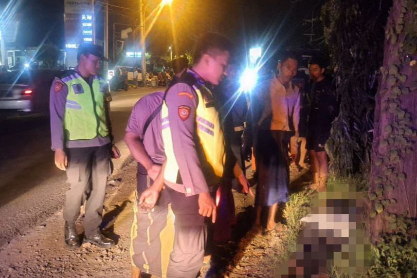 Adu Banteng dengan Truk, Pemotor dan yang Dibonceng Tewas di Jalan Deandles Lamongan