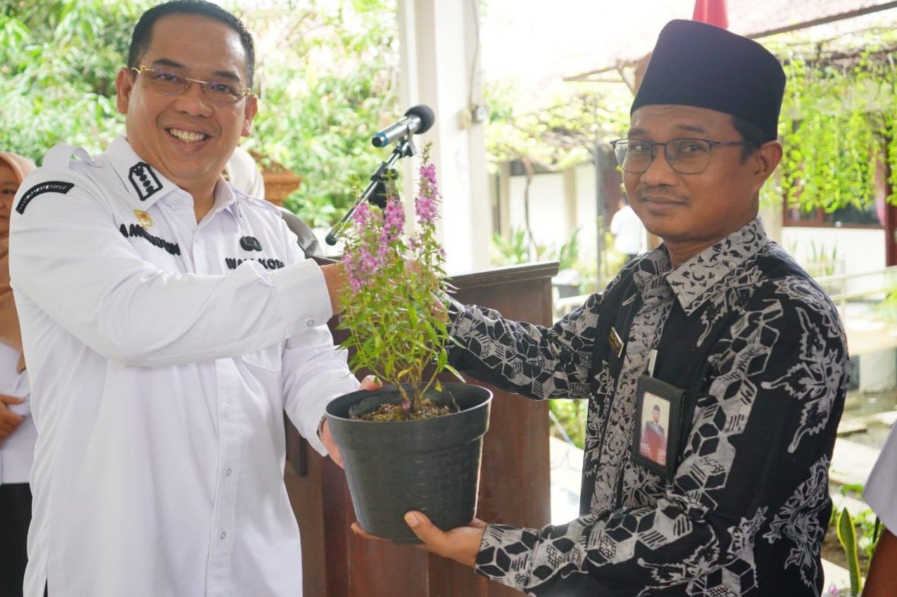 Lavender, si cantik yang Jadi Inovasi Kota Probolinggo Cegah DBD