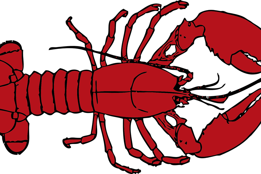 Pemerintah Gagalkan Penyelundupan Benih Lobster senilai Rp 37 Miliar