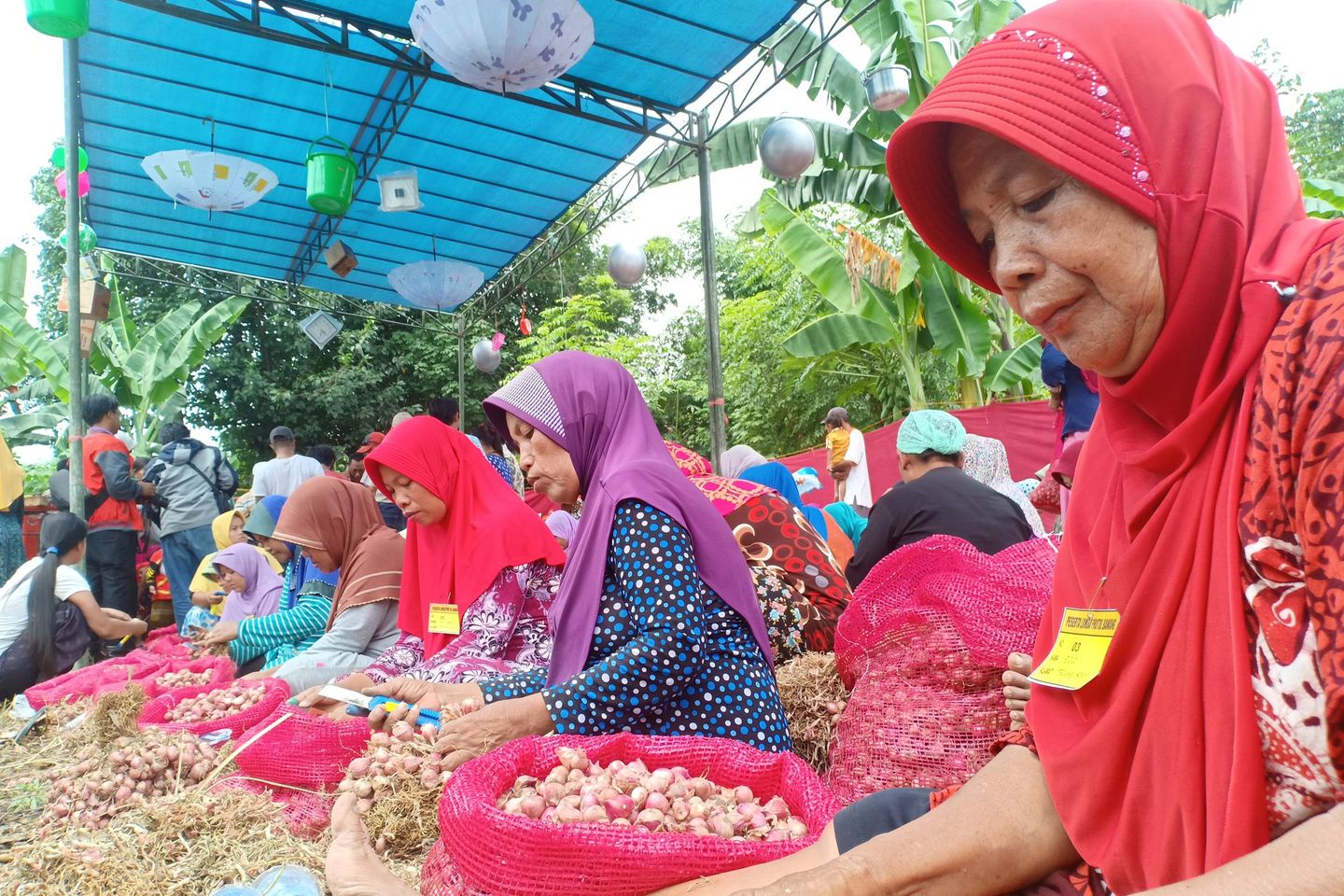 Wujud Sykur, Istri Petani Ikuti Lomba <em>Mrotol Bawang</em>