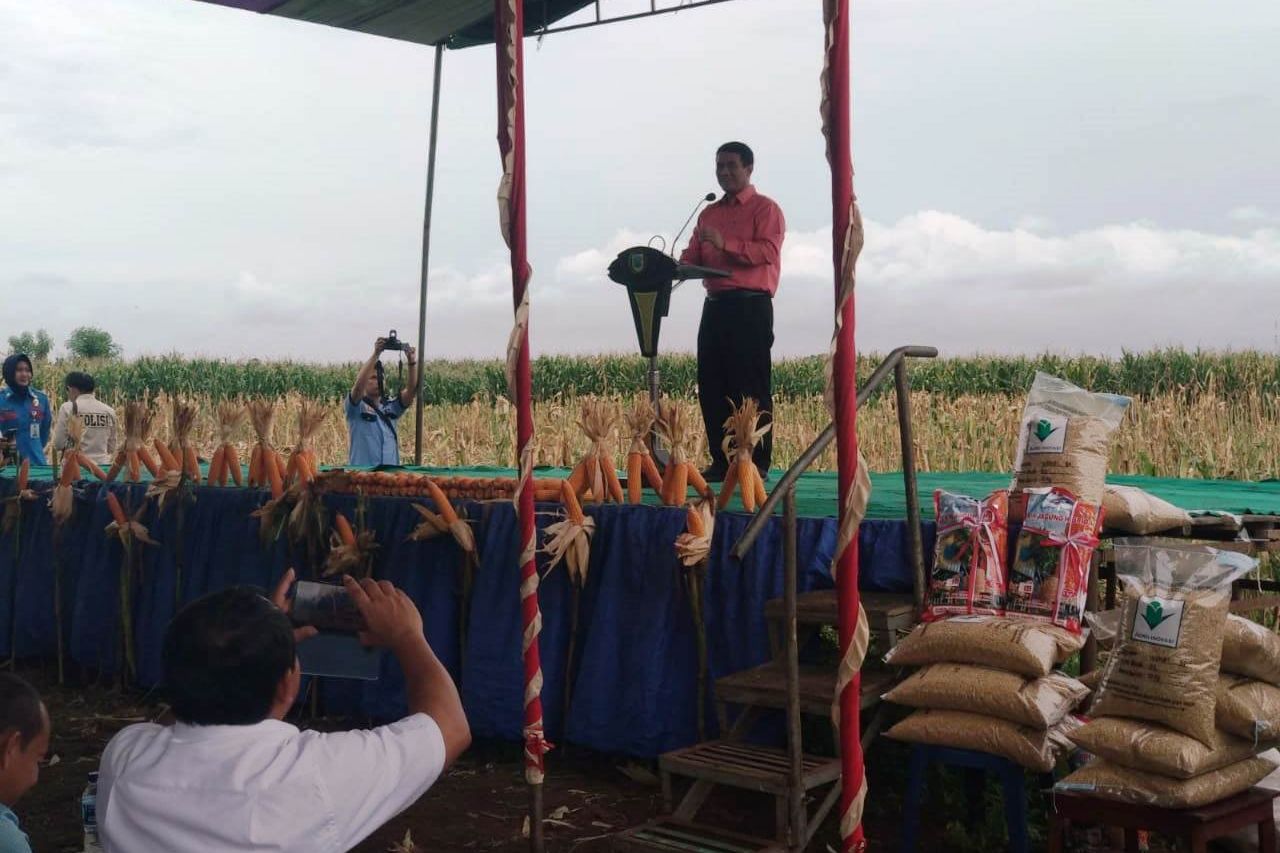 Di Probolinggo, Mentan Instruksikan Bulog Serap Jagung Petani
