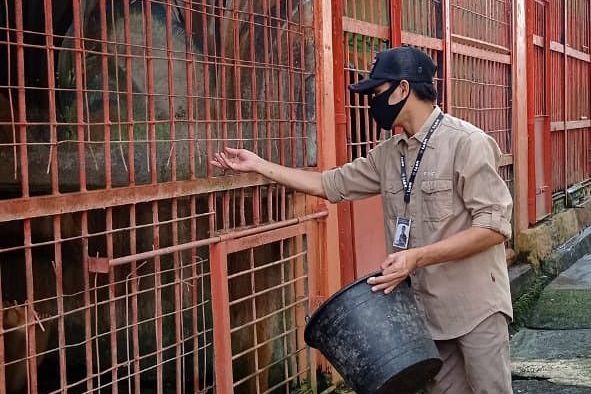 Polres Madiun Tunggu Laporan BKSDA terkait Penjualan Enam Satwa di Madiun Umbul Square