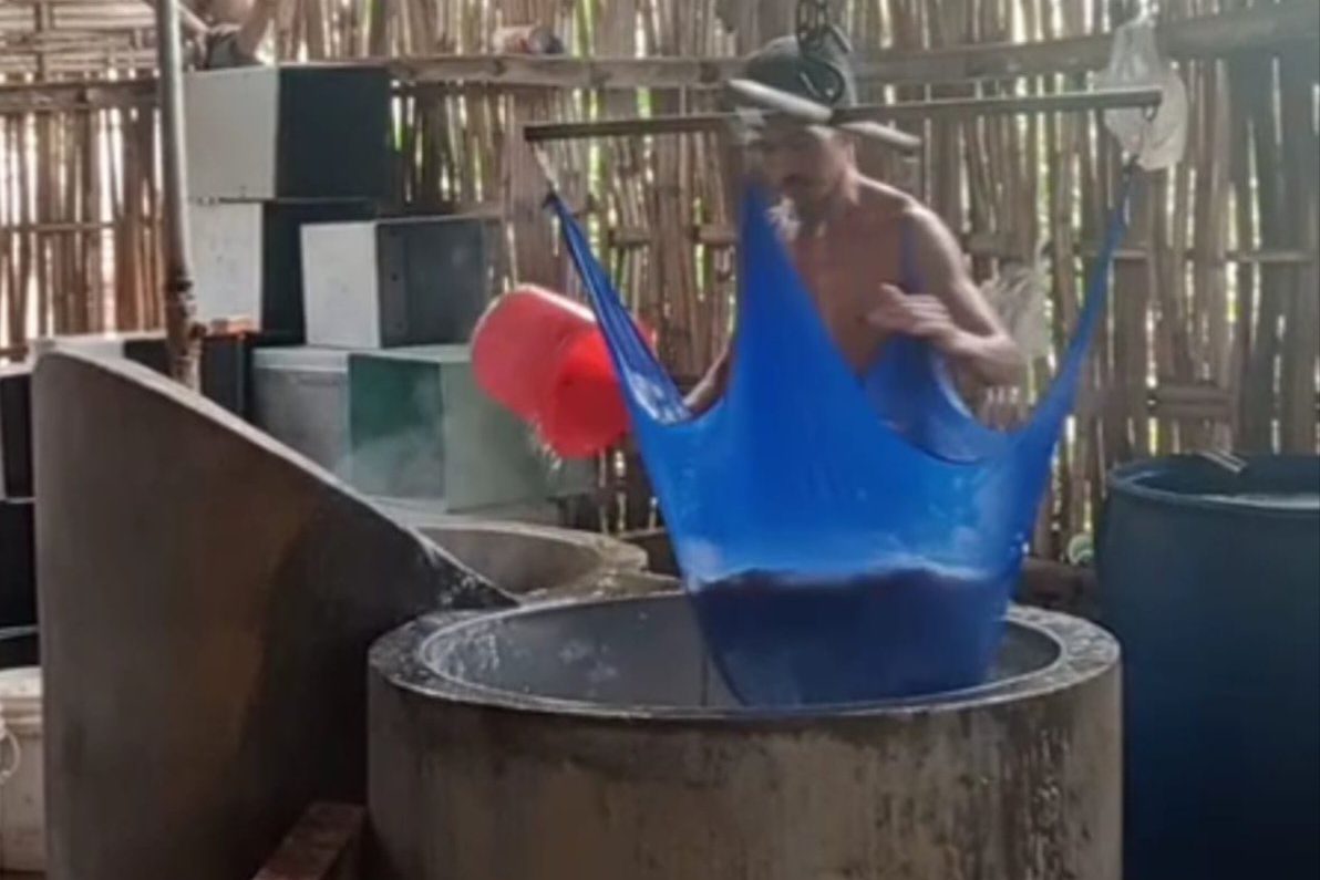 Kedelai Lokal Susah, Pengusaha Pabrik Tahu di Probolinggo Pakai Kedelai Impor