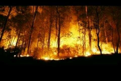 Pemprov Jatim Siapkan Langkah Atasi Kebakaran Hutan Gunung Panderman