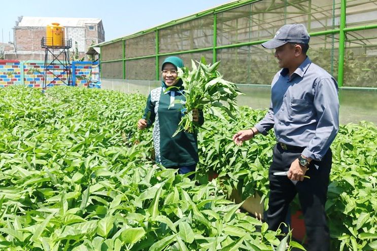 Impor Hortikultura Naik Jelang Natal dan Tahun Baru