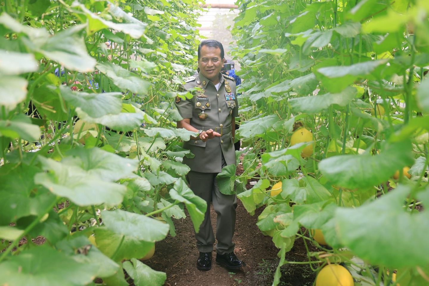 Pj Wali Kota Probolinggo Minta “Lahan Tidur” Dimanfaatkan termasuk Budidaya Melon