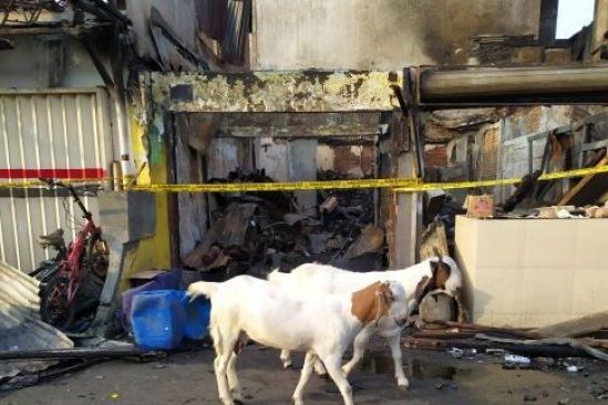 Kebakaran Pasar Kambing Diduga Pegawai Panik Ambil Bensin untuk Siram Api