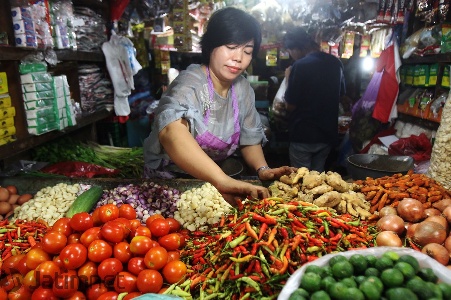 Pemilu Dorong Konsumsi Rumah Tangga
