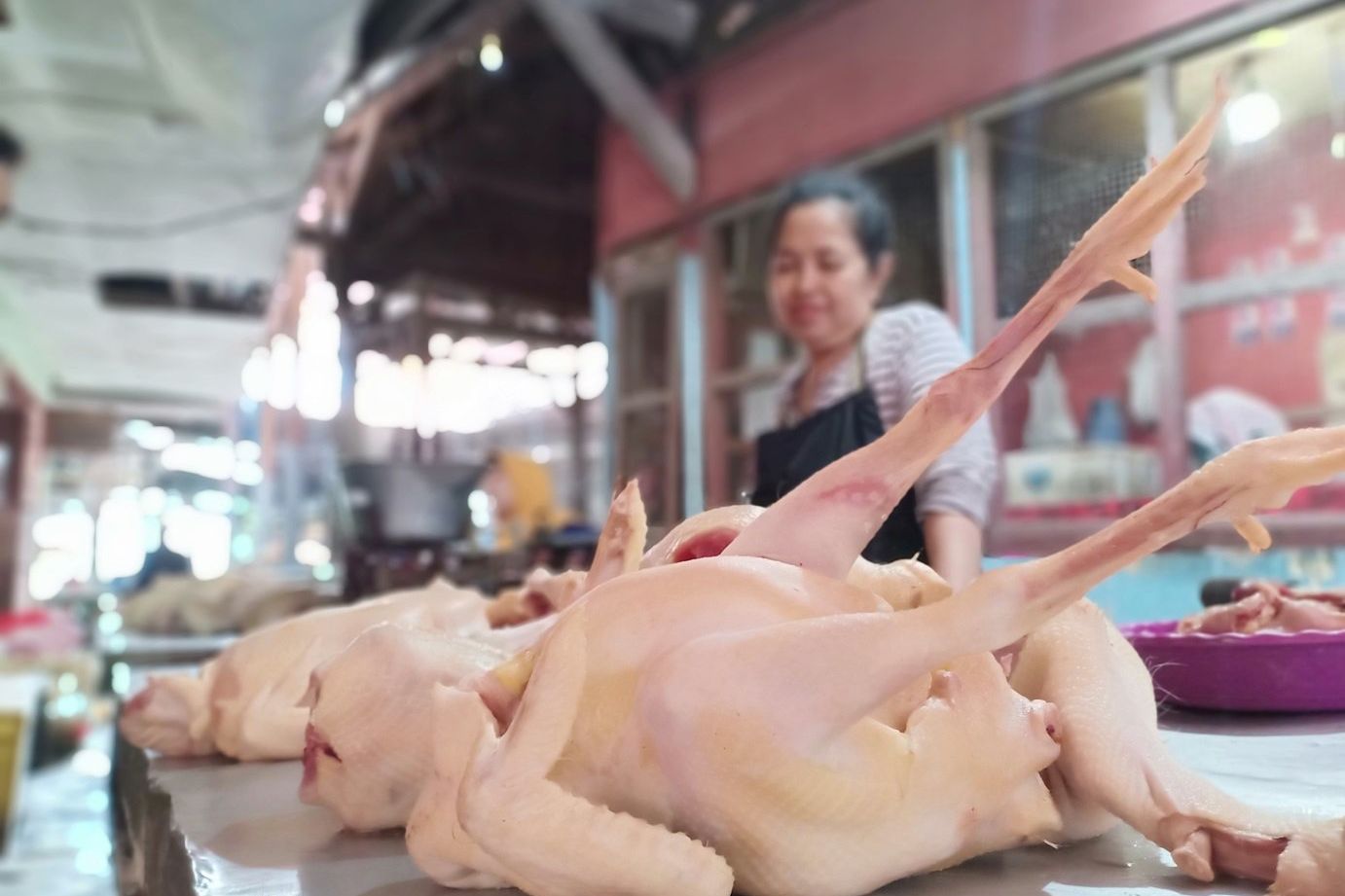 Harga Ayam Broiler Rp32.000 per Kilogram di Probolinggo