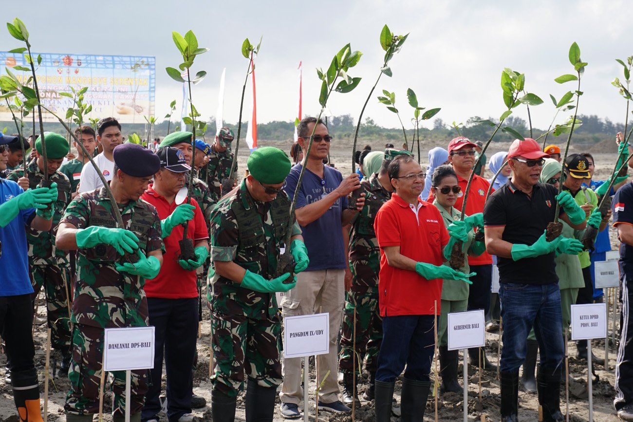 Pelindo III Tanam Mangrove Dari Sabang Sampai Merauke