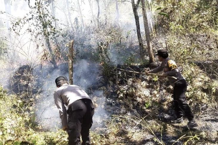 Polisi Selidiki Penyebab Kebakaran 5 Hektare Lahan Warga di Ngawi