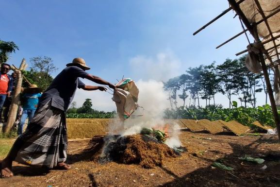 DPRD Kabupaten Probolinggo Soroti Serapan dan Harga Tembakau