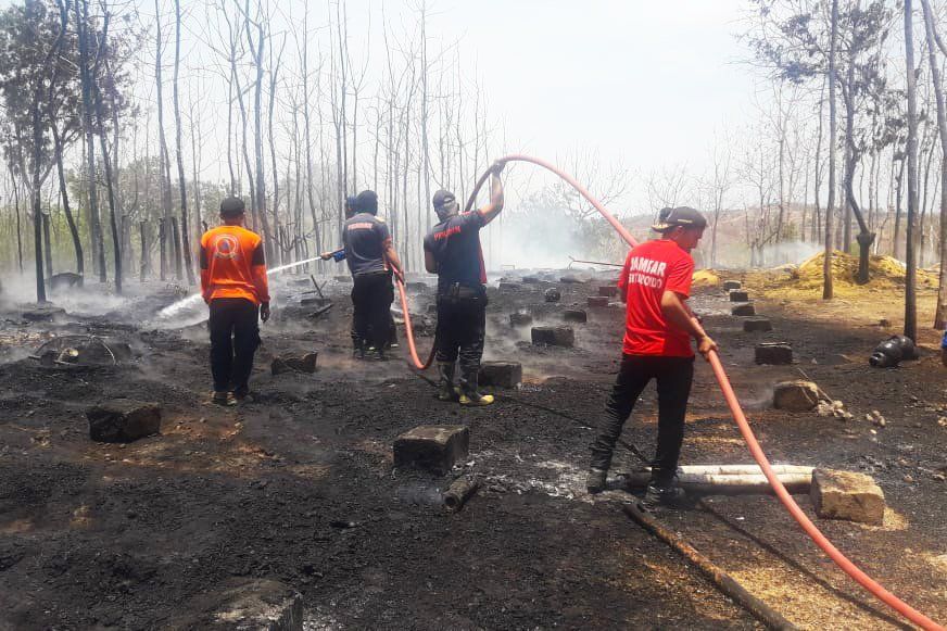 Kandang Terbakar, 5.000 Anak Ayam Ikut Terpanggang