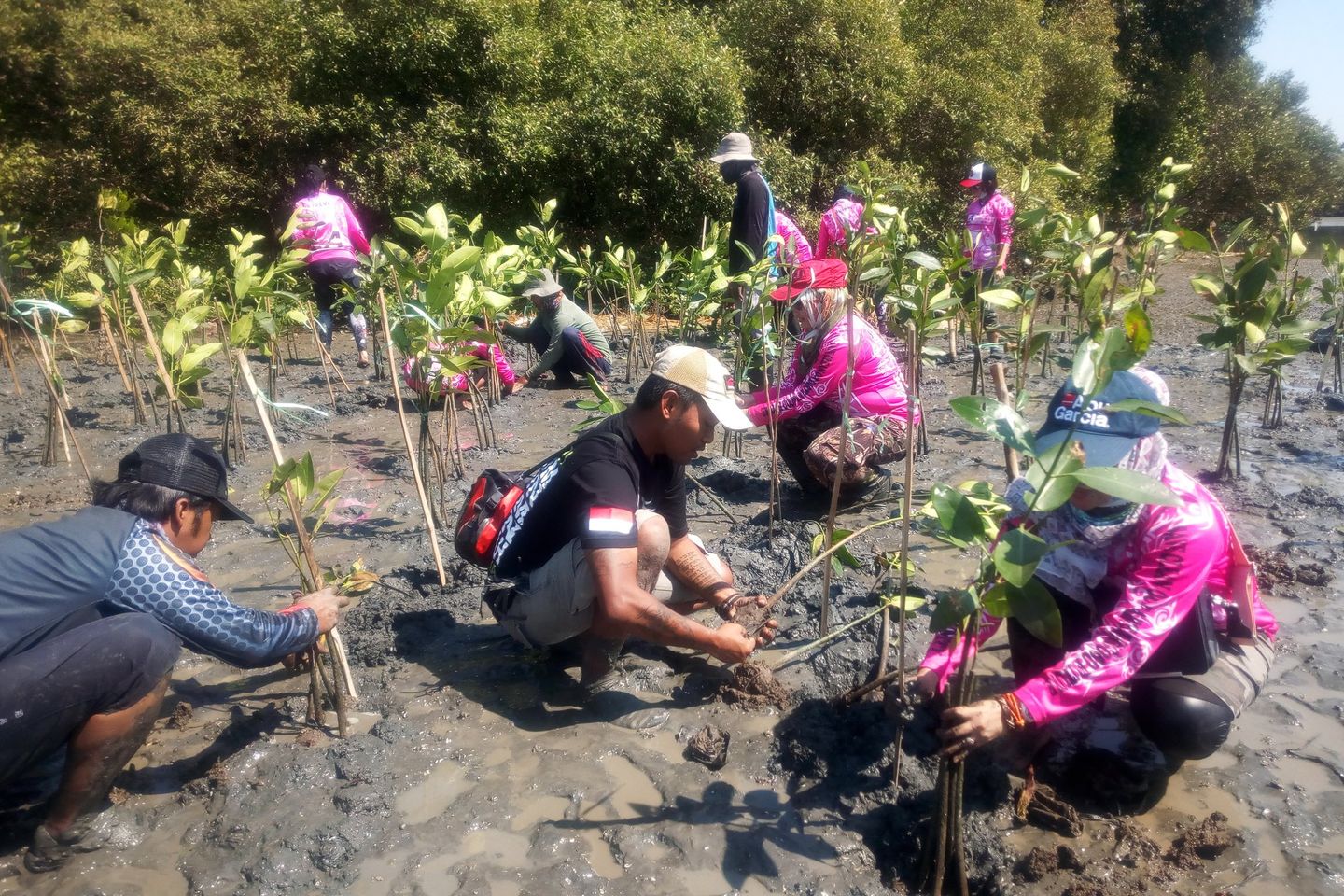 Jadikan Hutan Mangrove Wonorejo sebagai Rekreasi Edukatif