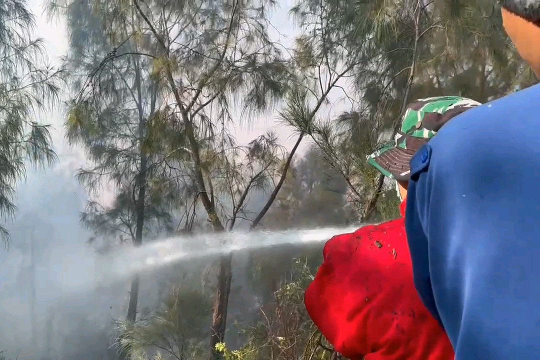 Kebakaran Hutan Taman Nasional Bromo Tengger Semeru Padam Usai 11 Hari