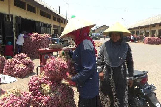 Harga Bawang Merah di Probolinggo Anjlok