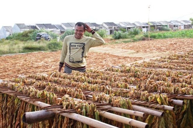 Pemanfaatan DBHCHT untuk Penegakan Hukum di Jombang Dikepras? 