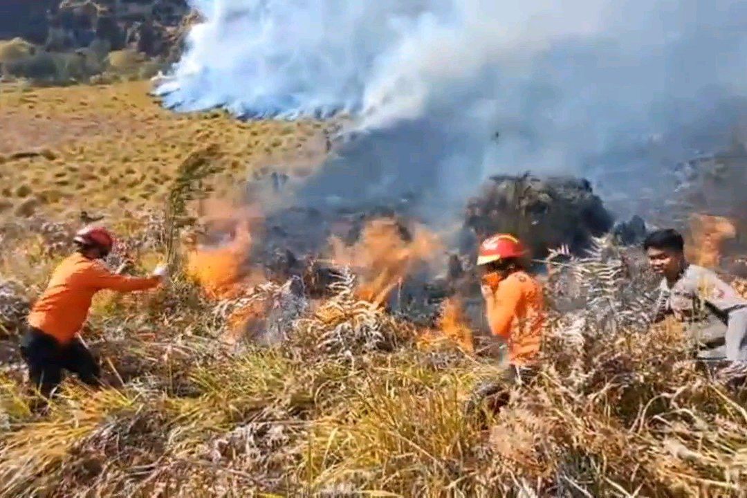 Karhutla TNBTS Belum Padam, Luas Lahan Terbakar Meluas Jadi 15 Hektare