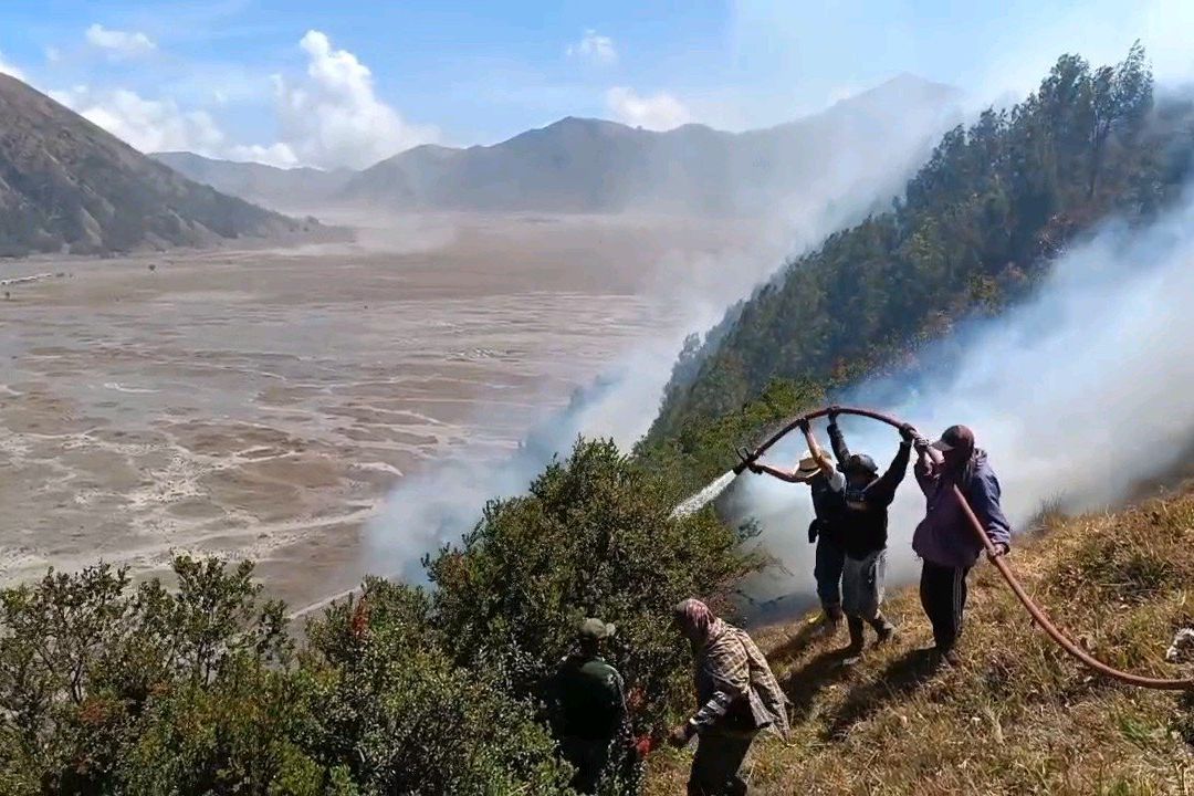 Kebakaran Bromo yang Mengganas Sejak Rabu Malam, Kamis Sore Mulai Terkendali