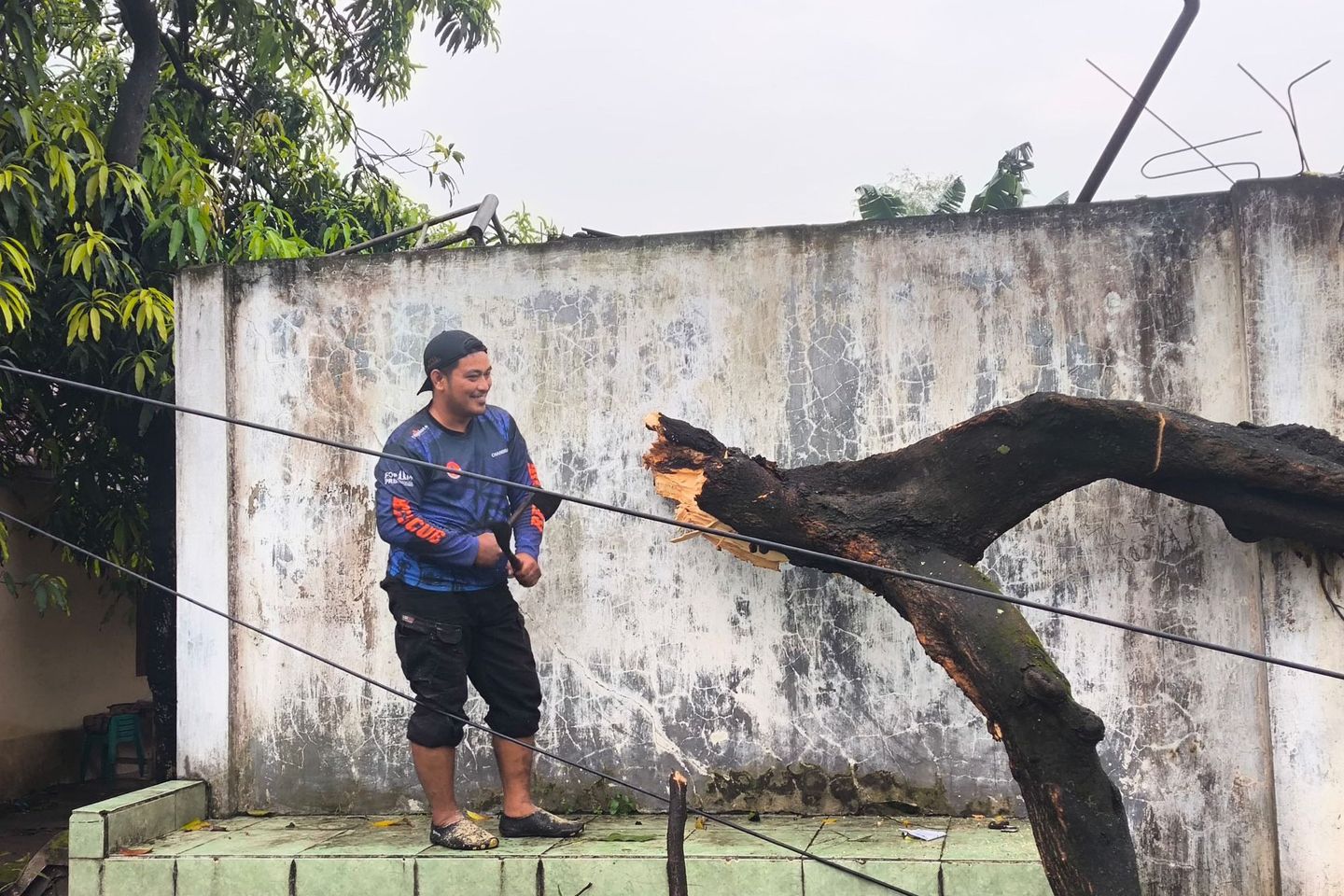 Hujan Deras dan Angin Kencang Terjang Mojokerto, Pohon Tumbang Timpa Rumah dan Sekolah
