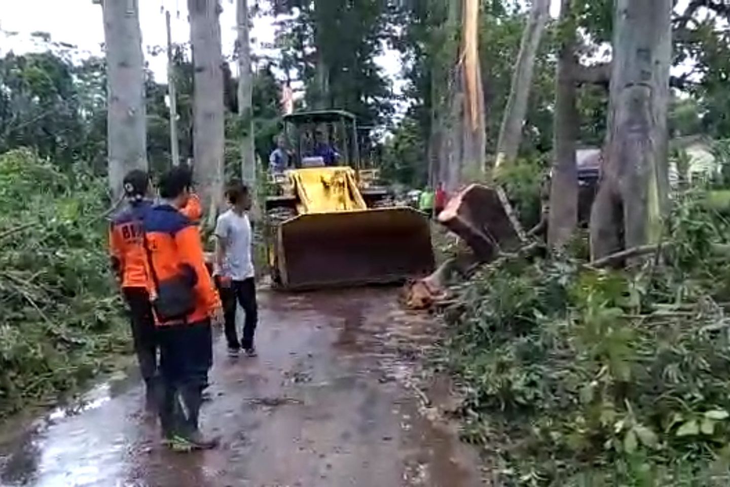 Tim Gabungan Kerahkan Alat Berat Bersihkan Pohon Tumbang