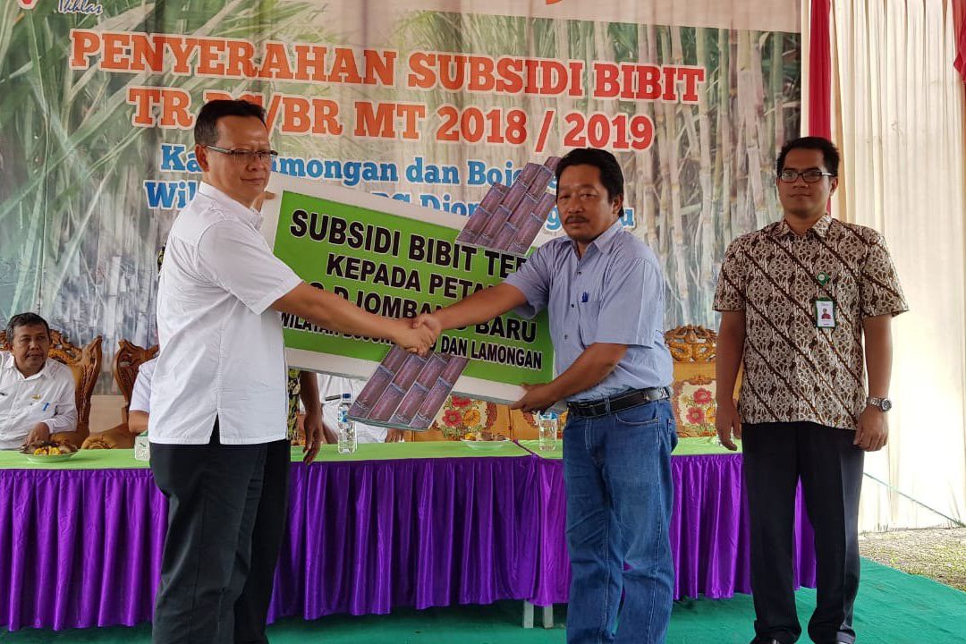 PTPN X Bagikan Bibit Tebu 200 Ton Lebih