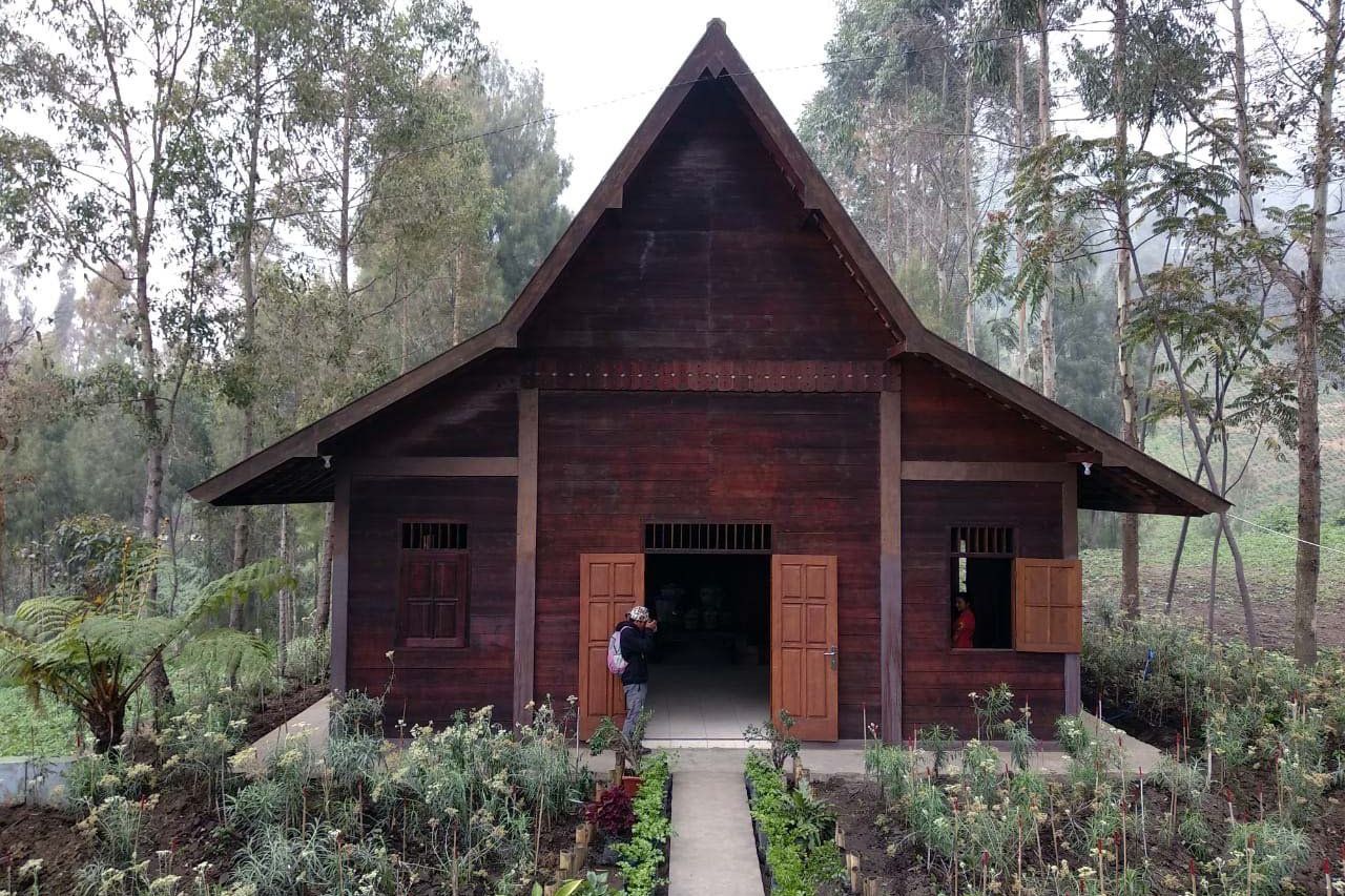 Berwisata ke Pusat Budidaya Edelweis di Pegunungan Tengger
