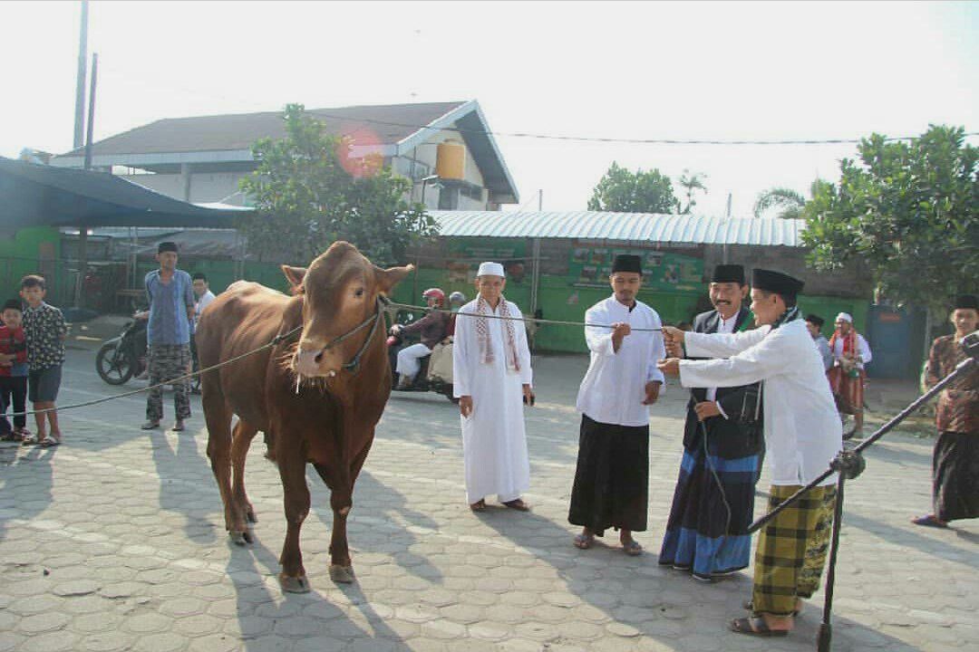 Kiai NU Blitar Wafat Usai Diseruduk Sapi Kurban