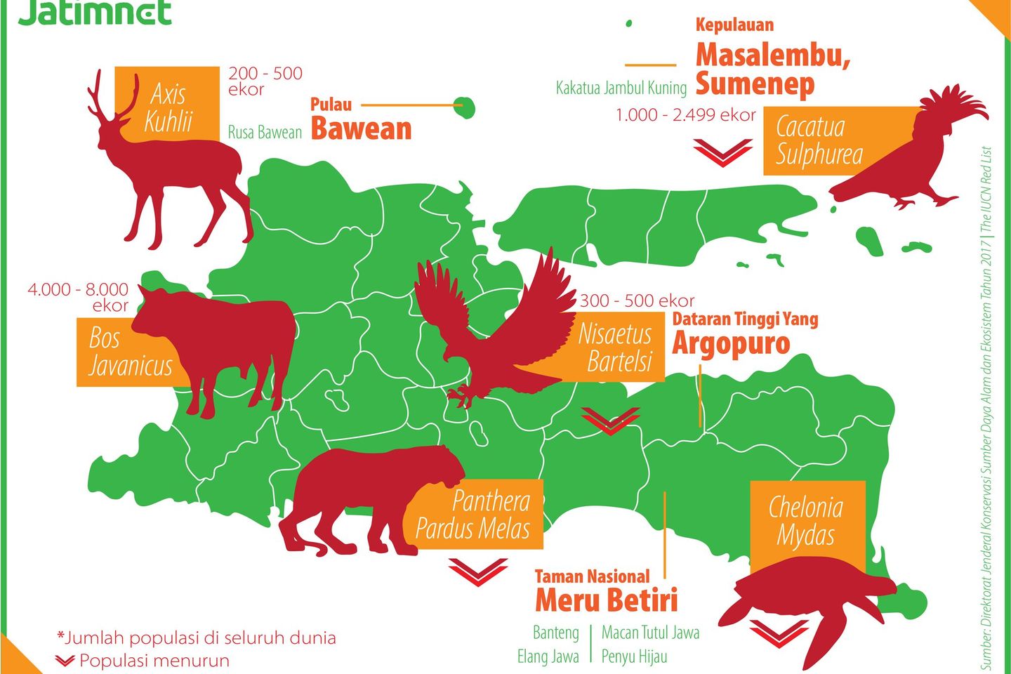Satwa Sitaan Berupa Ratusan Burung Dilindungi Terancam Mati
