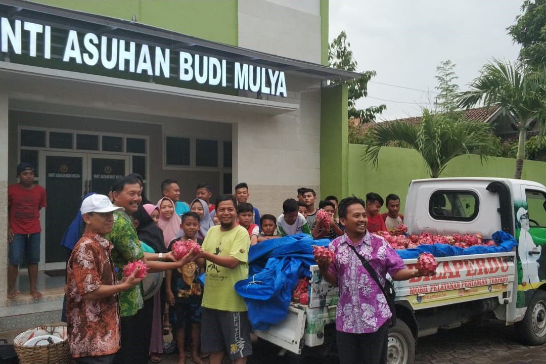 Harga Anjlok, Banyuwangi Bikin Program Sedekah Buah Naga