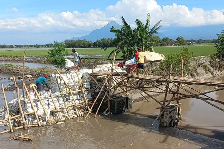 Tanggul Sungai di Mojokerto Kembali Jebol, 16 Hektar Sawah Terendam Air