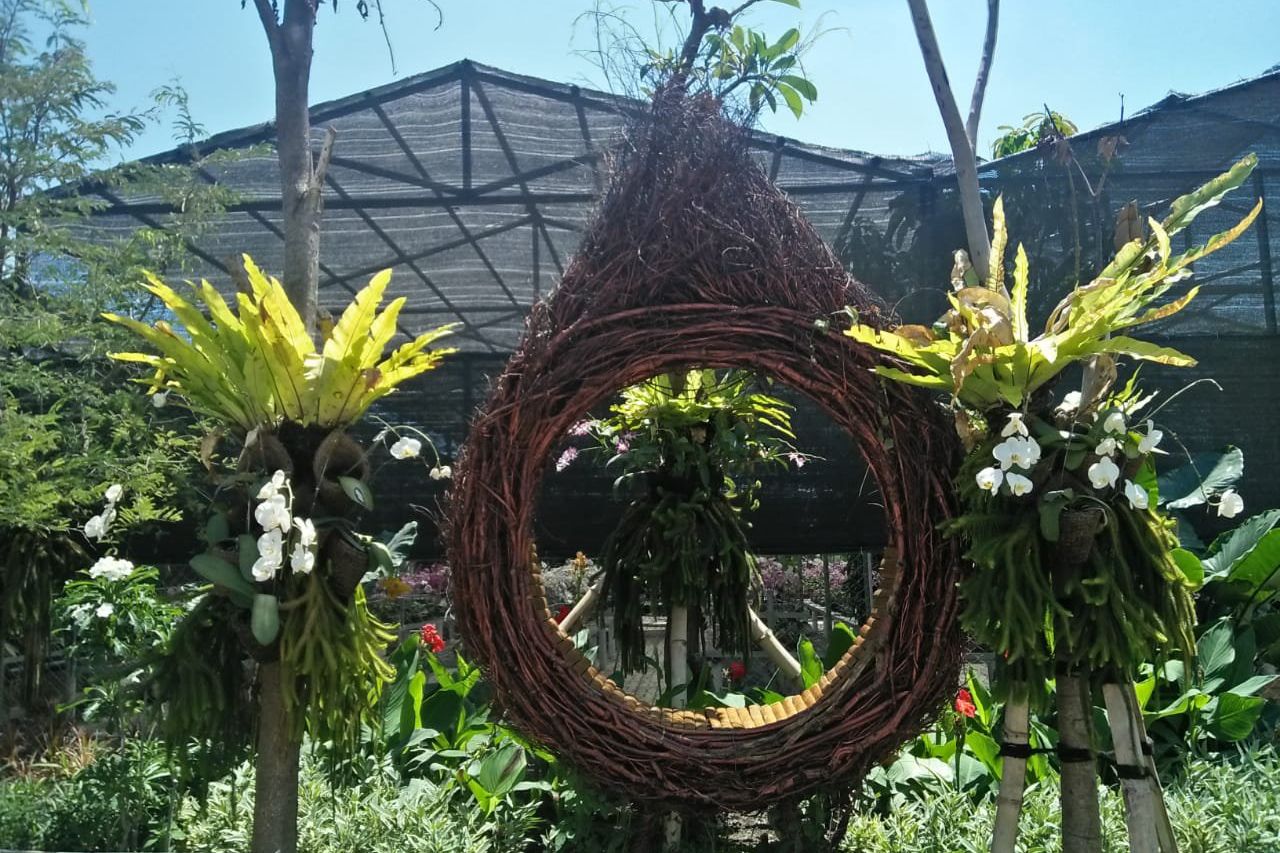 Bekas Rumah Bordil di Moroseneng Disulap Jadi Taman Anggrek 