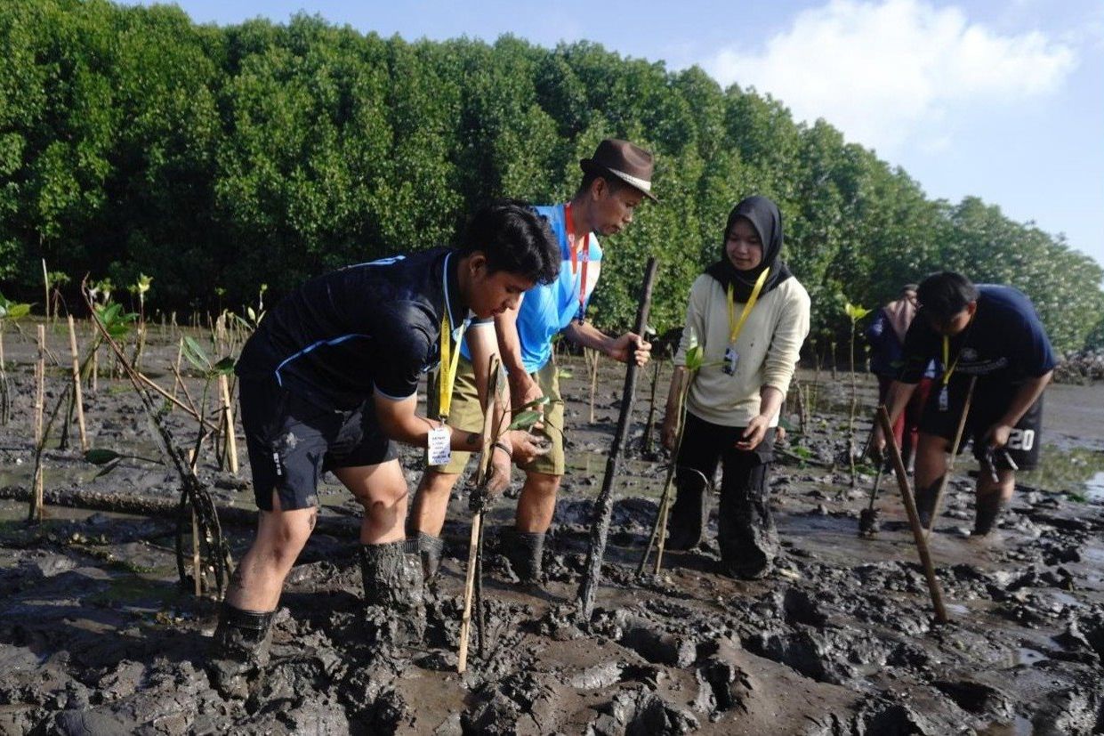 Peduli Pesisir Banyuwangi, Tim KKN-PPM UGM Tanam 100 Bibit Mangrove