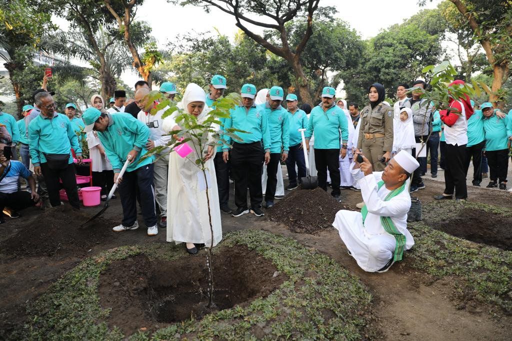 Khofifah Tanam Matoa sebagai Simbol Persahabatan Jatim-Papua