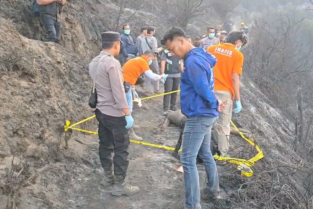 Tragedi Karhutla di Bromo, Tiga Orang Gugur Saat Berjuang Padamkan Api