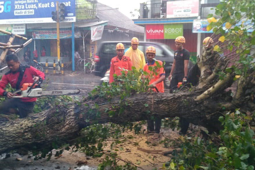 Lima Kecamatan di Lumajang Diterjang Hujan dan Angin Kencang