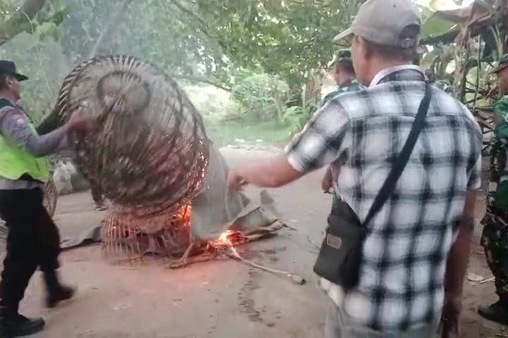 Polisi Bongkar Arena Judi Sabung Ayam di Ngoro Mojokerto